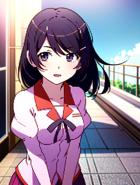 Tsubasa Hanekawa