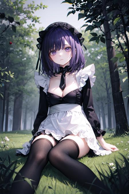 MaidMix
