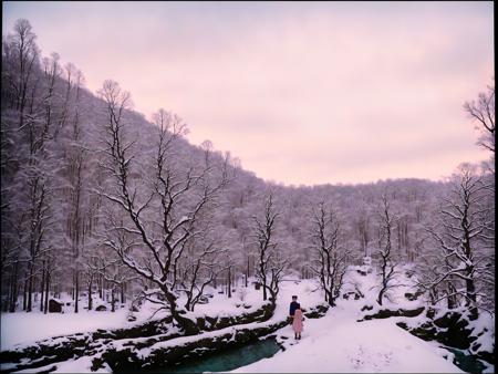 The Grand Budapest Hotel