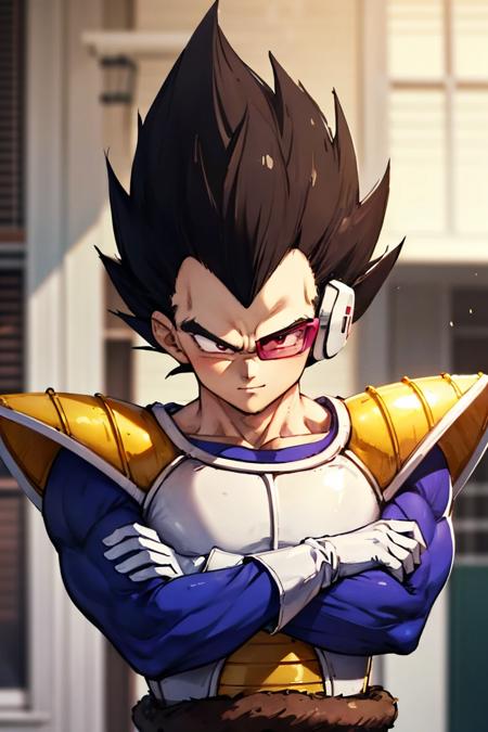 Prince Vegeta - Dragon Ball Z版本v1.0 (ID: 389330)