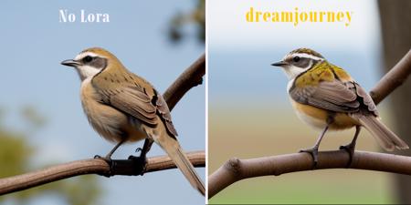 Dreamjourney_v1版本v1.0 (ID: 655303)