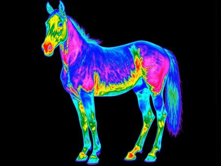 Flux LoRA Thermal Image