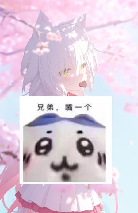 クロ(Kuro/小黑) | sakura moyu/樱花萌放 (noobai)