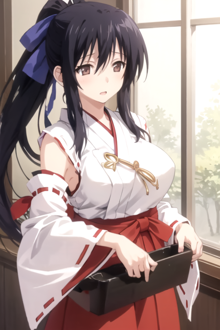 Shuri Himejima (High School DxD)