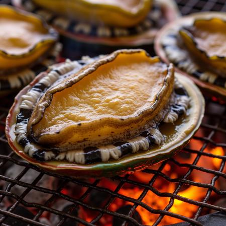 abalone