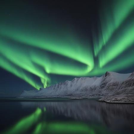 Northern Lights - Aurora Borealis版本V1 (ID: 1193259)
