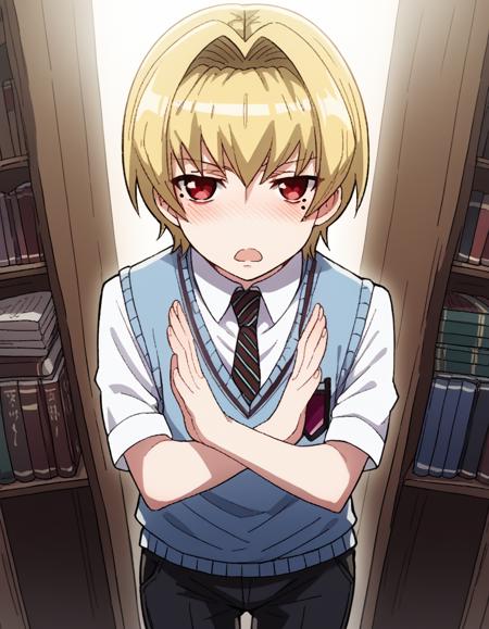 Mariya Shidou (祇堂 鞠也) - Maria Holic (Maria†Holic) (まりあ†ほりっく)版本anime s2 (ID: 988127)