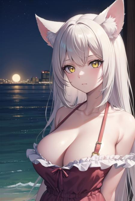 Tsubasa Hanekawa (羽川 翼) - Monogatari Series (物語シリーズ )
