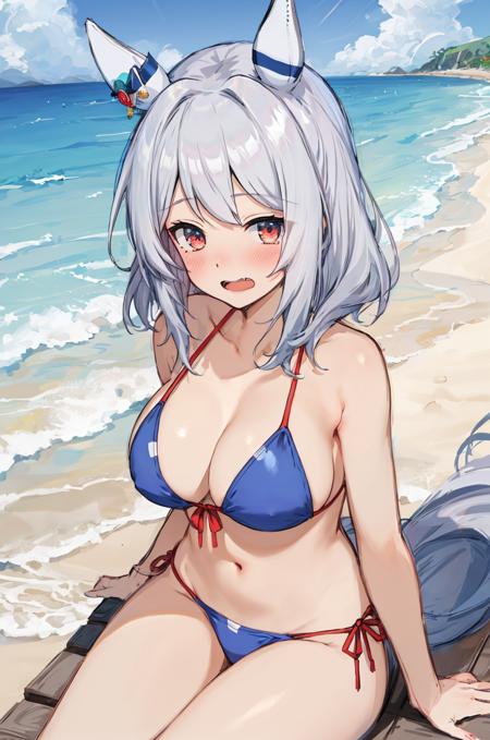 hishi miracle (umamusume)